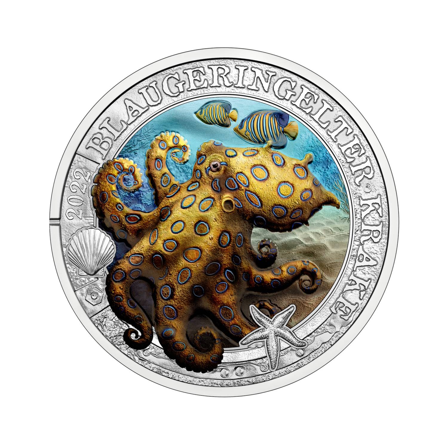 Meereswelten Münzen