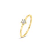 Diamant Ring "Stern" Gold 585