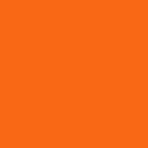 Pantone Orange Tiger